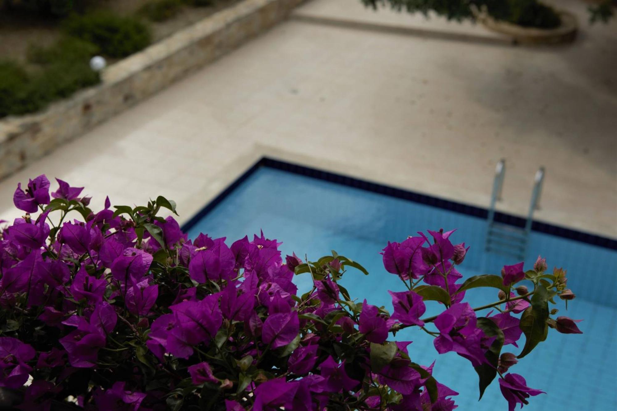 Douliana Villas ภายนอก รูปภาพ